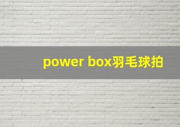 power box羽毛球拍